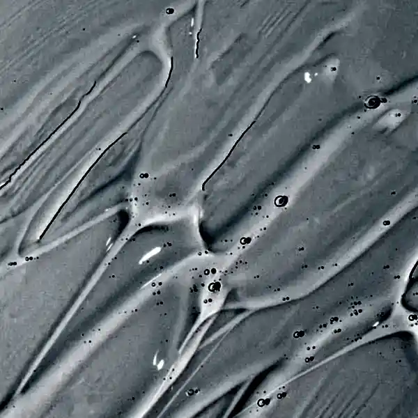 Glycerine in Toothpaste: shall I avoid it? - Zerolla